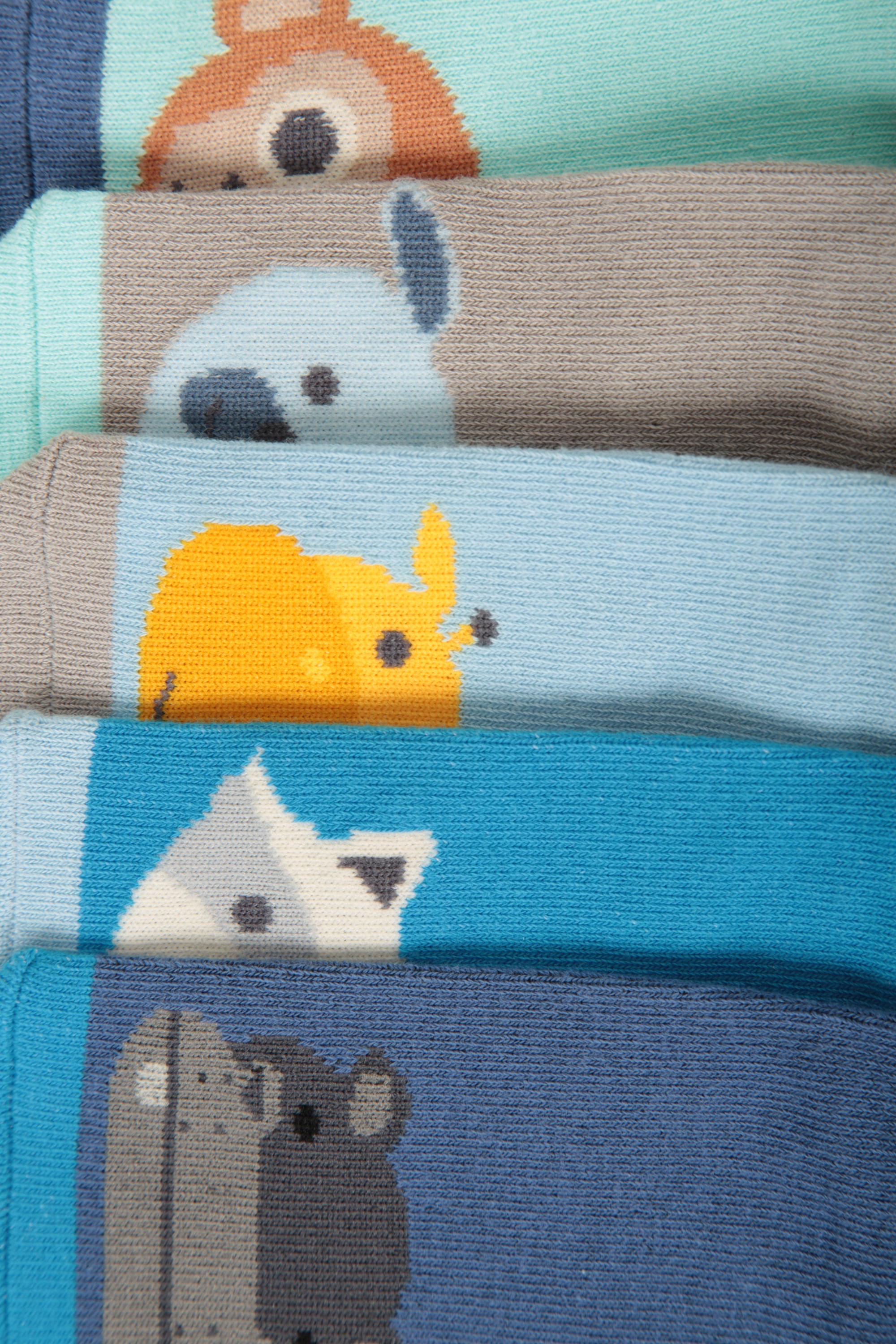 Little Animal Baby Socks Multipack