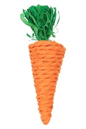 Small Pet Carrot Toy Red