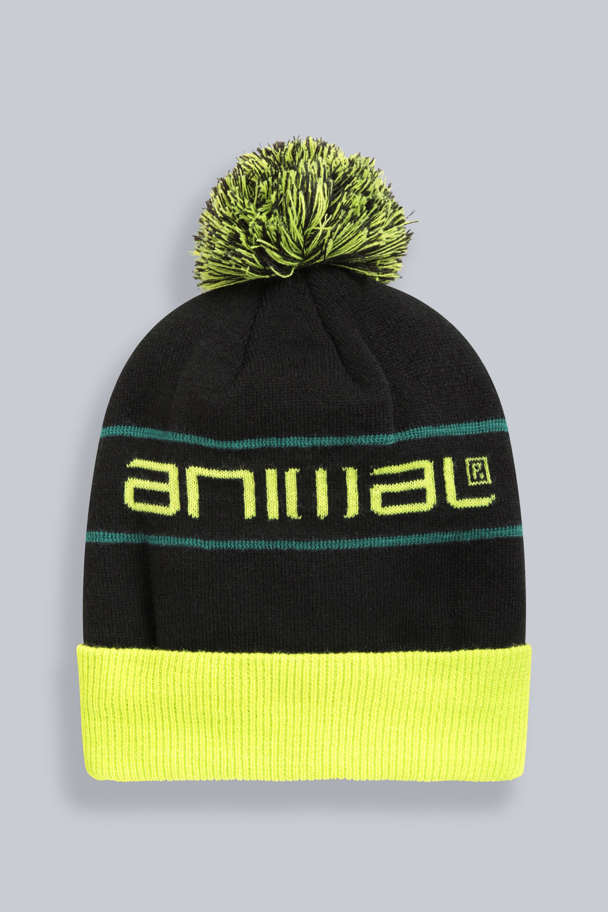Animal Briggs recycelte Mütze für Herren - Grün