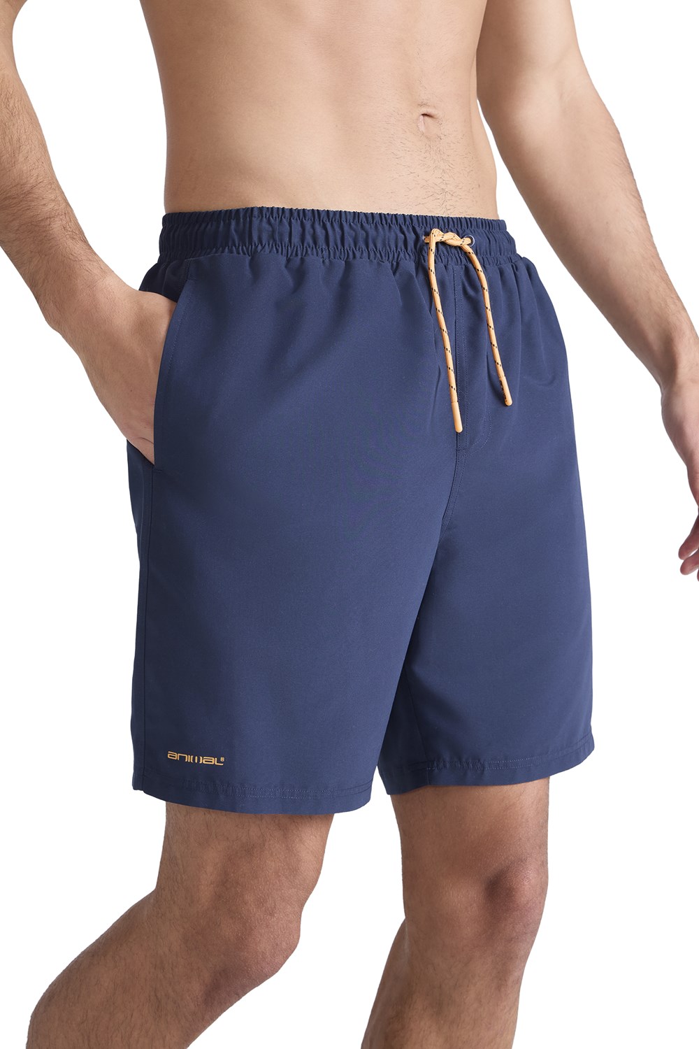 Pantalones cortos de tabla para hombre Animal Deep Dive ligeros surf natación medio pantalón - Imagen 28 de 64