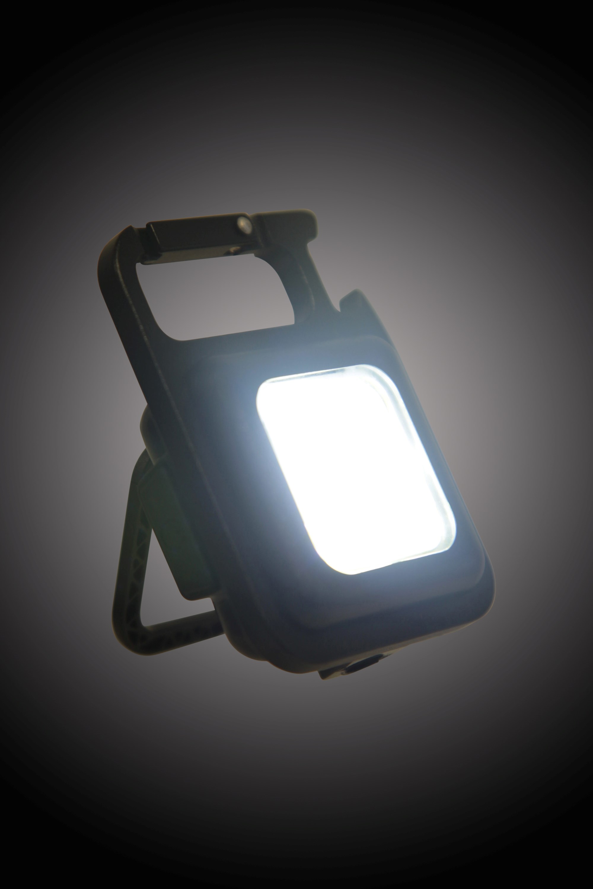 Clip On Light