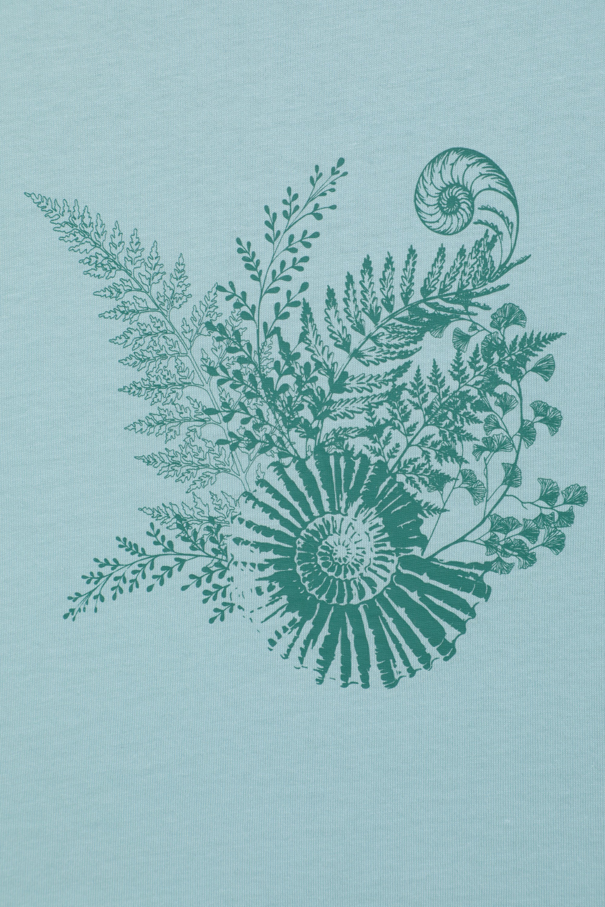 Fern Shell Womens T-Shirt