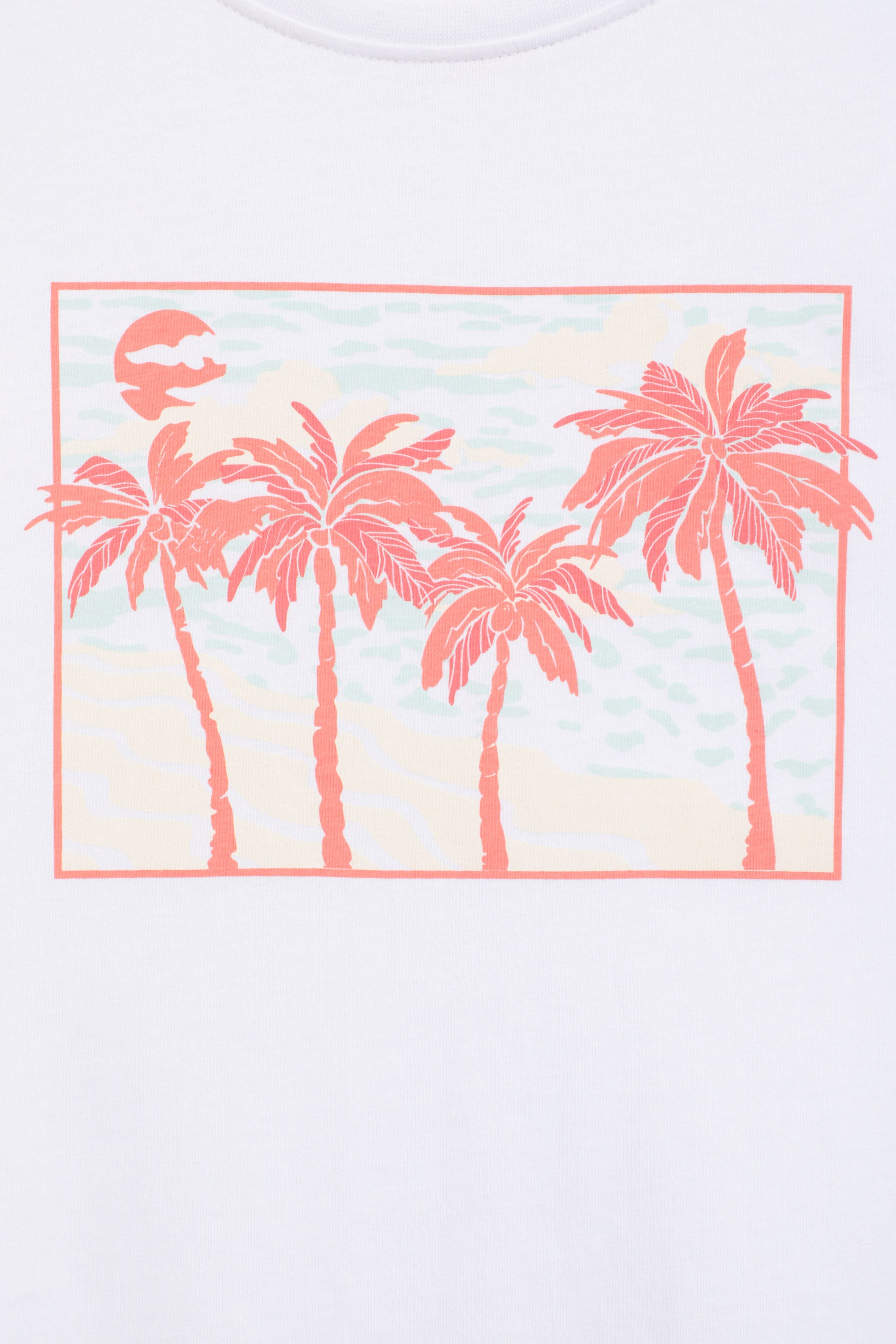 Postcard Palm Womens T-Shirt