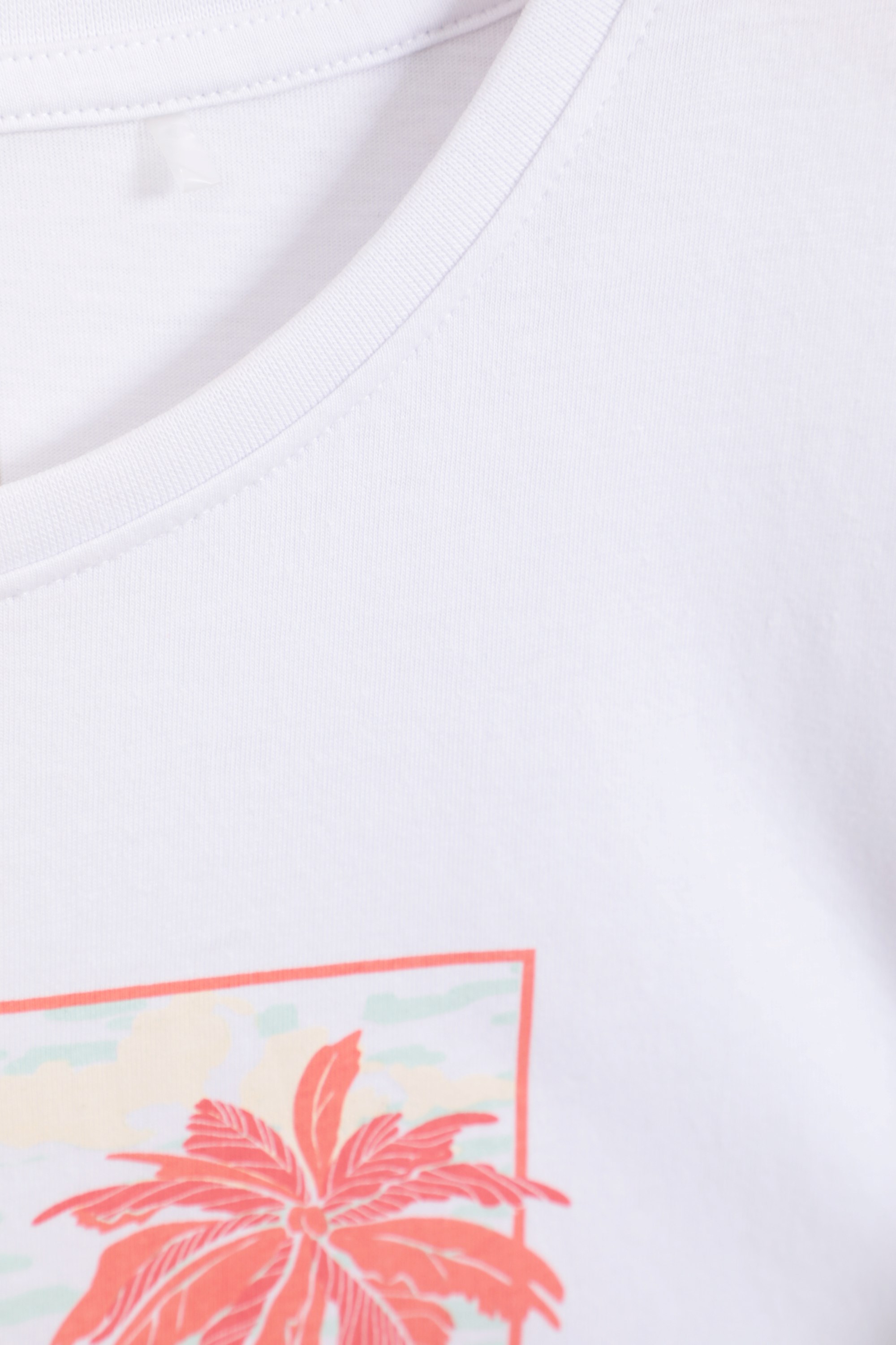 Postcard Palm Womens T-Shirt