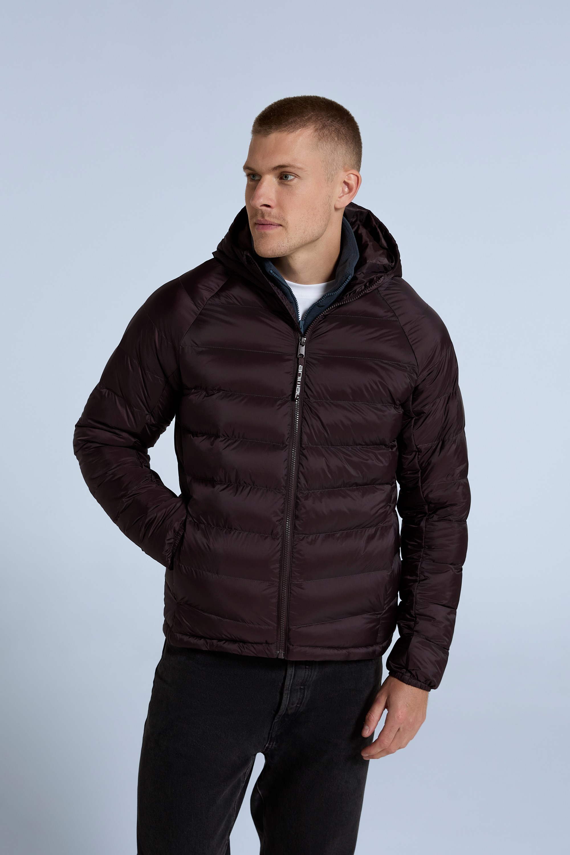 Light padded jacket mens online