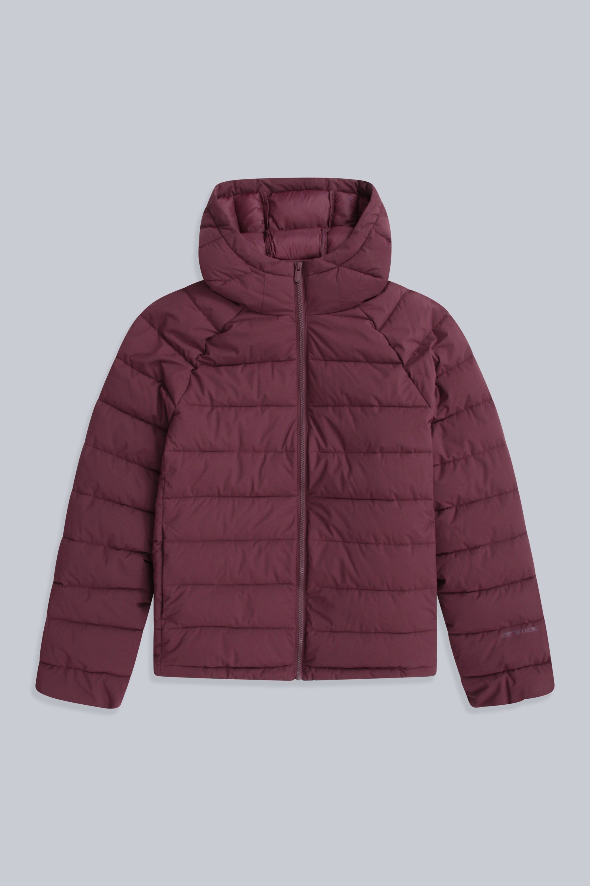 Light Cloud Cosi Womens Padded Jacket | Mountain Warehouse GB