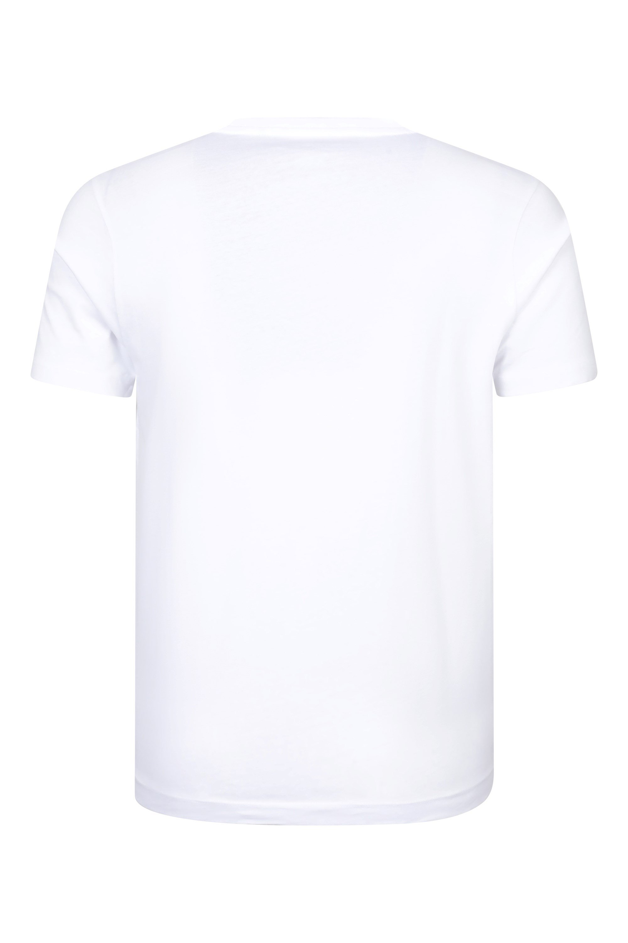 Gradient Mountain Men's Graphic T-Shirt