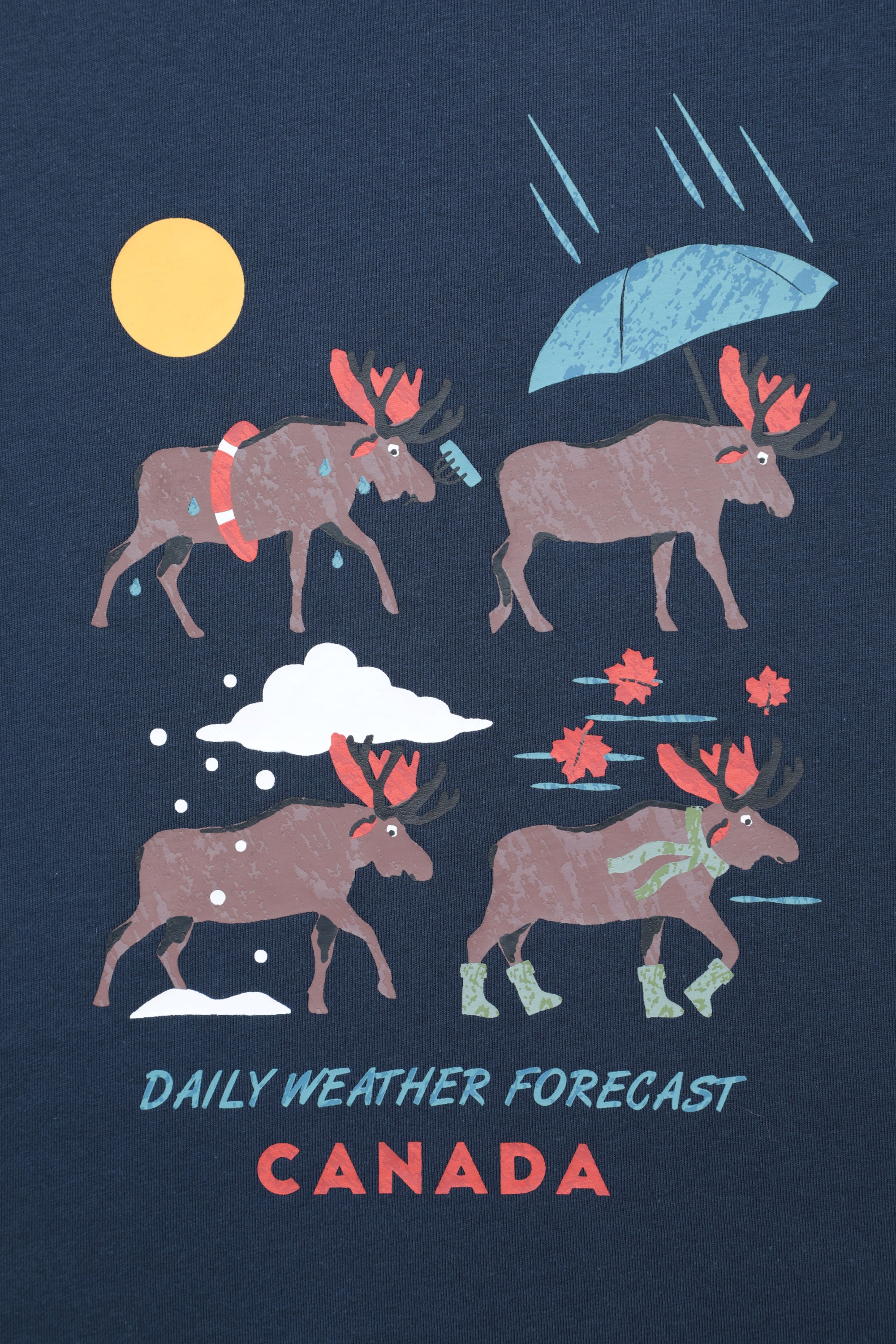 Printed Womens Canada Weather T-Shirt