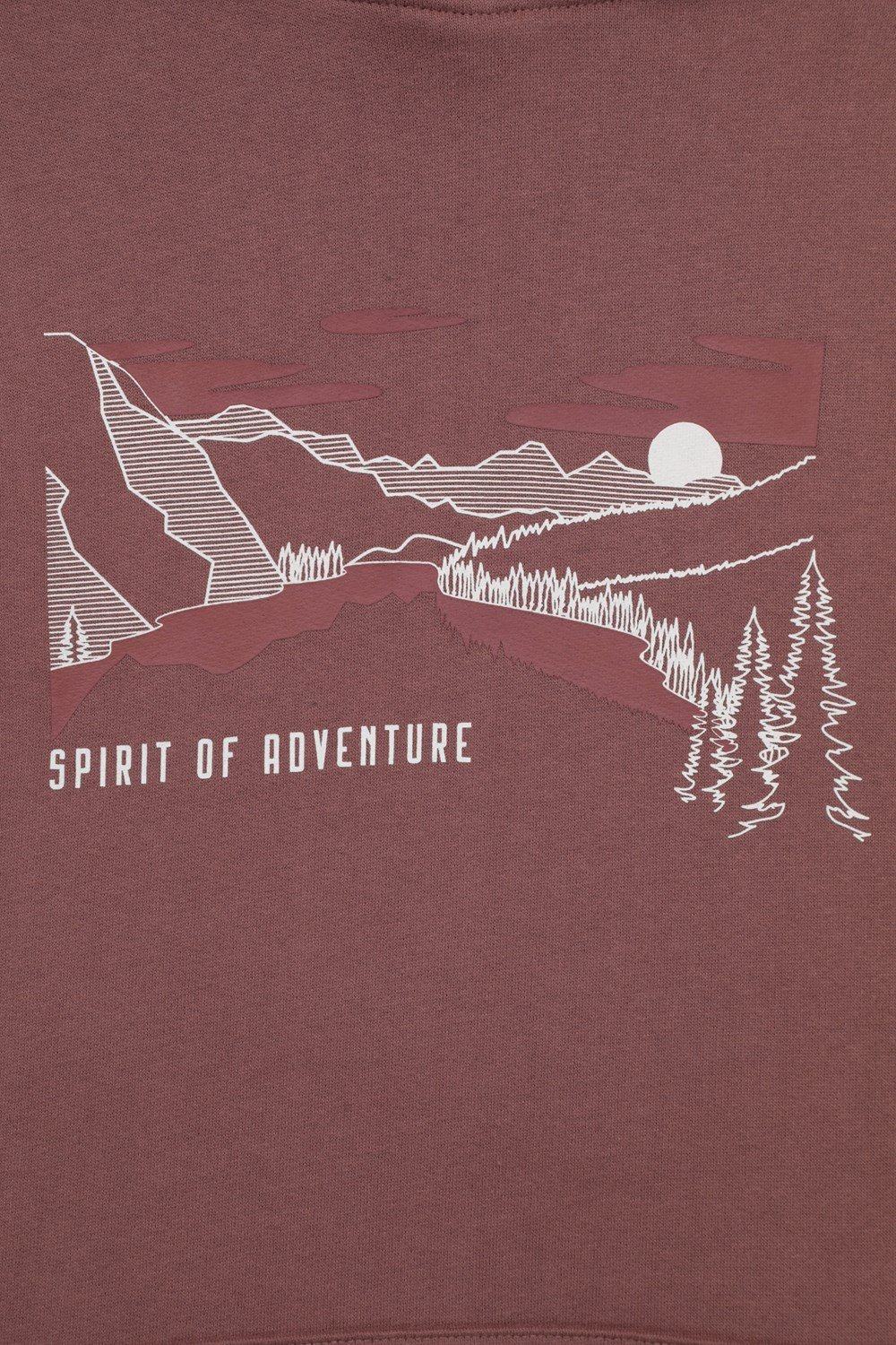 Mountain Warehouse Men Spirit Of Adventure Graphic Hoodie - Picture 14 of 63