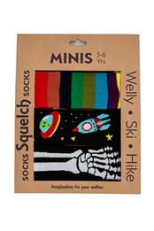 Set of 3 Mini Welly Socks in a Gift Box Mulitcoloured