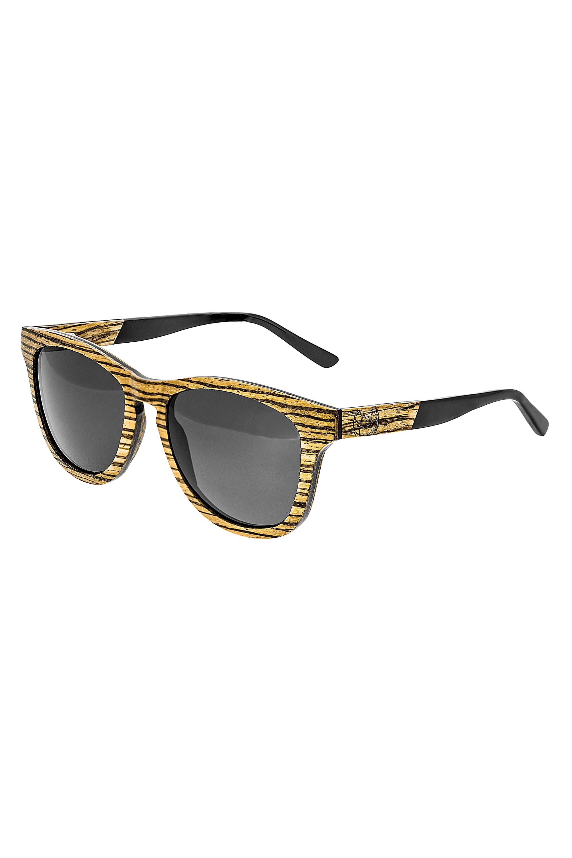 Ted Baker Cove TB1633 Square Sunglasses | Fashion Eyewear