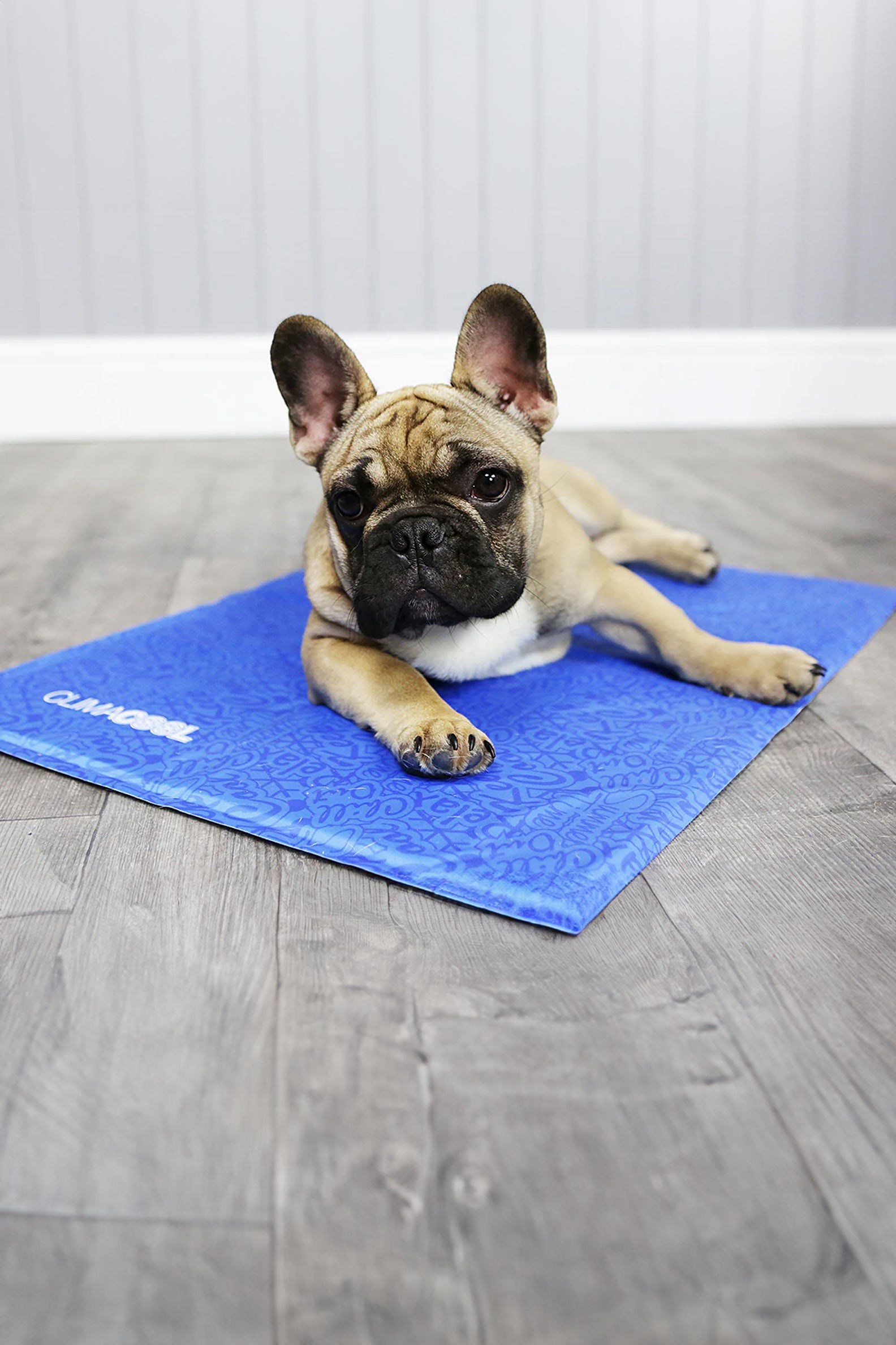 Bulldog cooling pad discount
