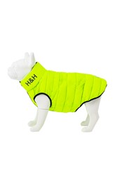 Dog Puffer Jacket Green/Navy