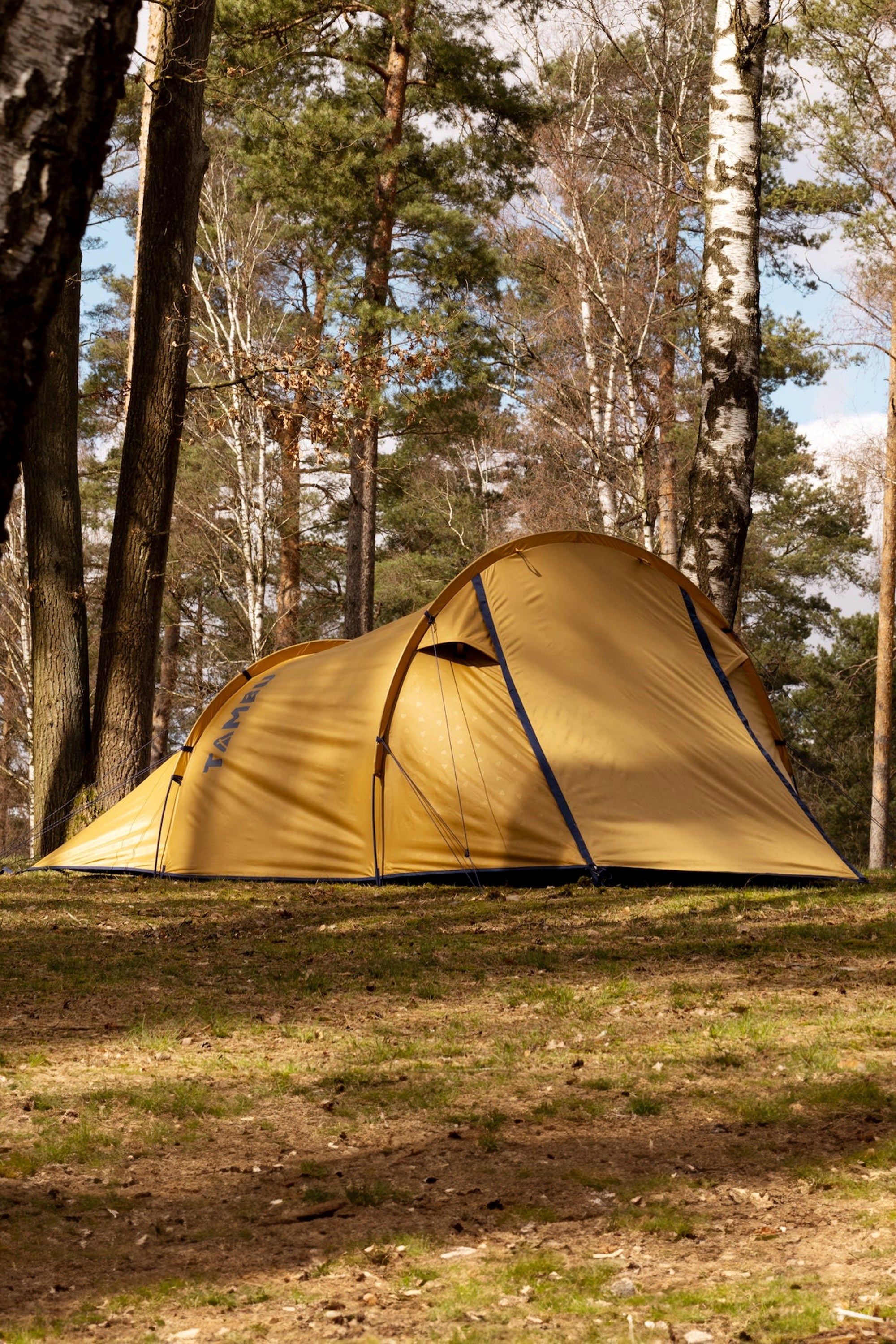 2 man tunnel tent best sale