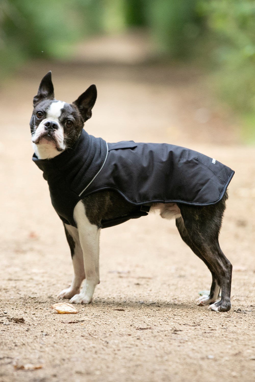 Battery heated dog on sale jacket