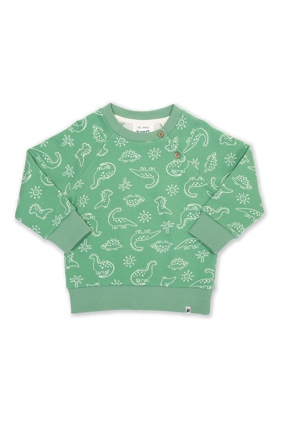 Dino Earth Baby/Kids Organic Cotton Sweatshirt -