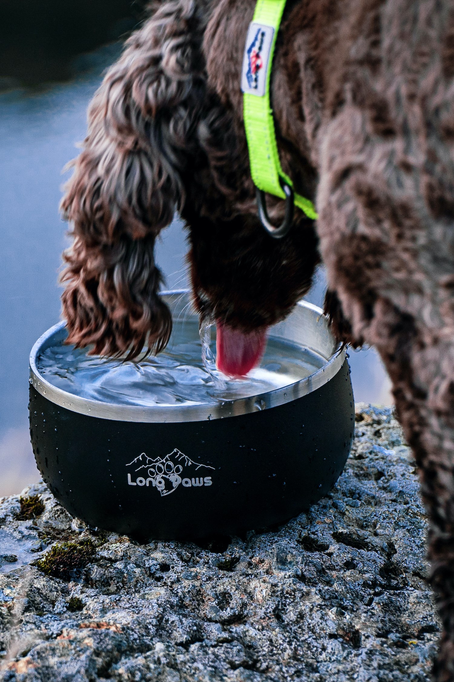 Lunar 4 Cup Dog Bowl | Mountain Warehouse GB